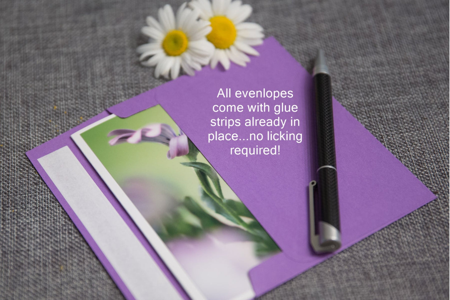 Blank Photo Note Cards - Birthday-Celebration