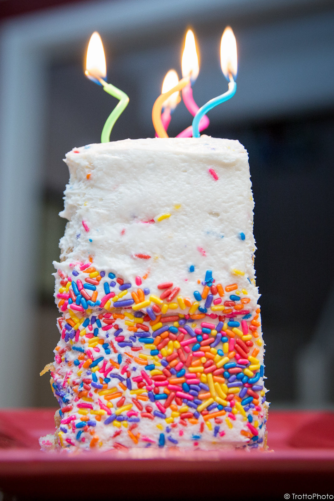 Blank Photo Note Cards - Birthday-Celebration