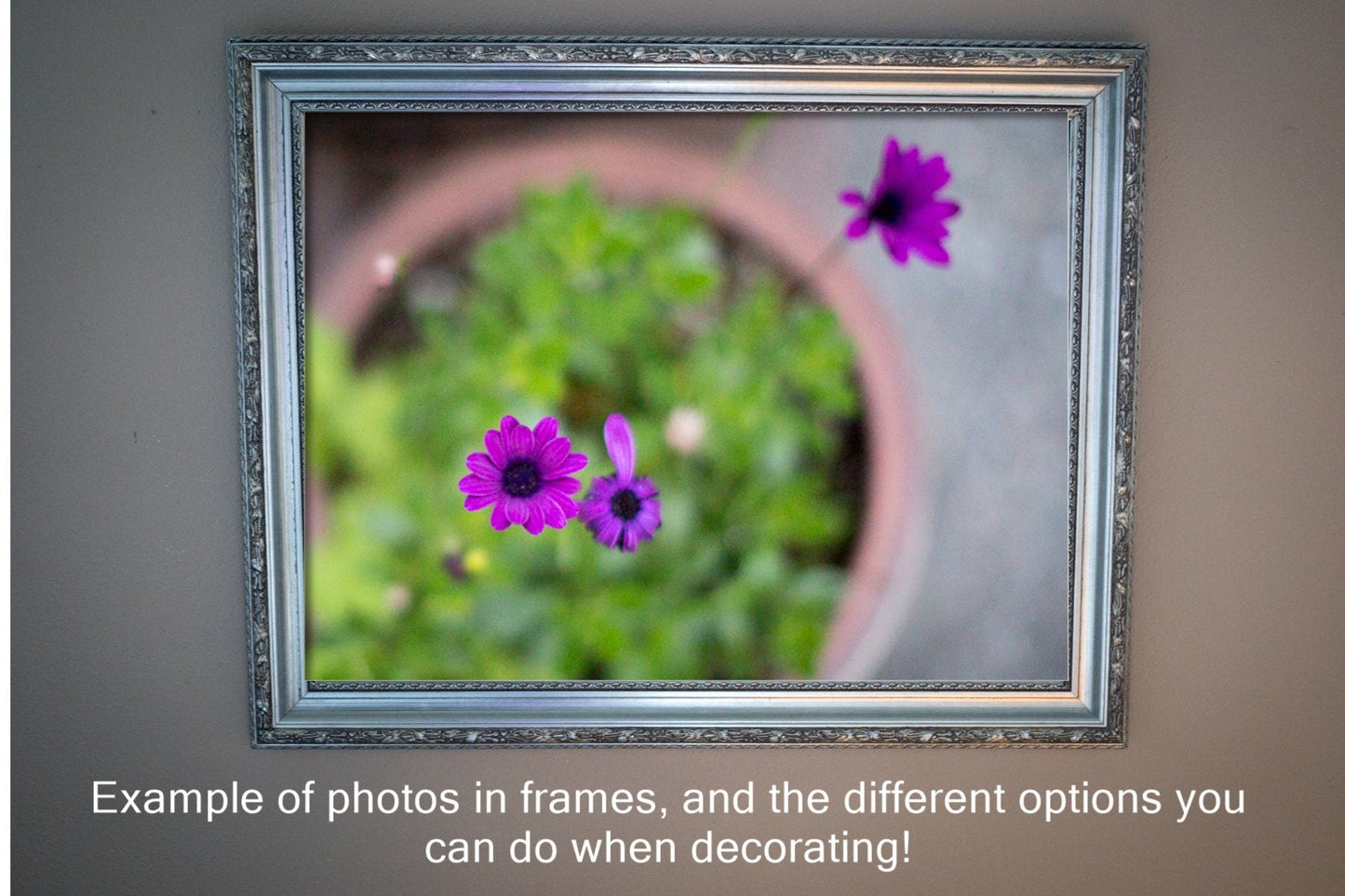 Home Decor Artwork - Digital Download -Coral Daisy- Spring Flowers