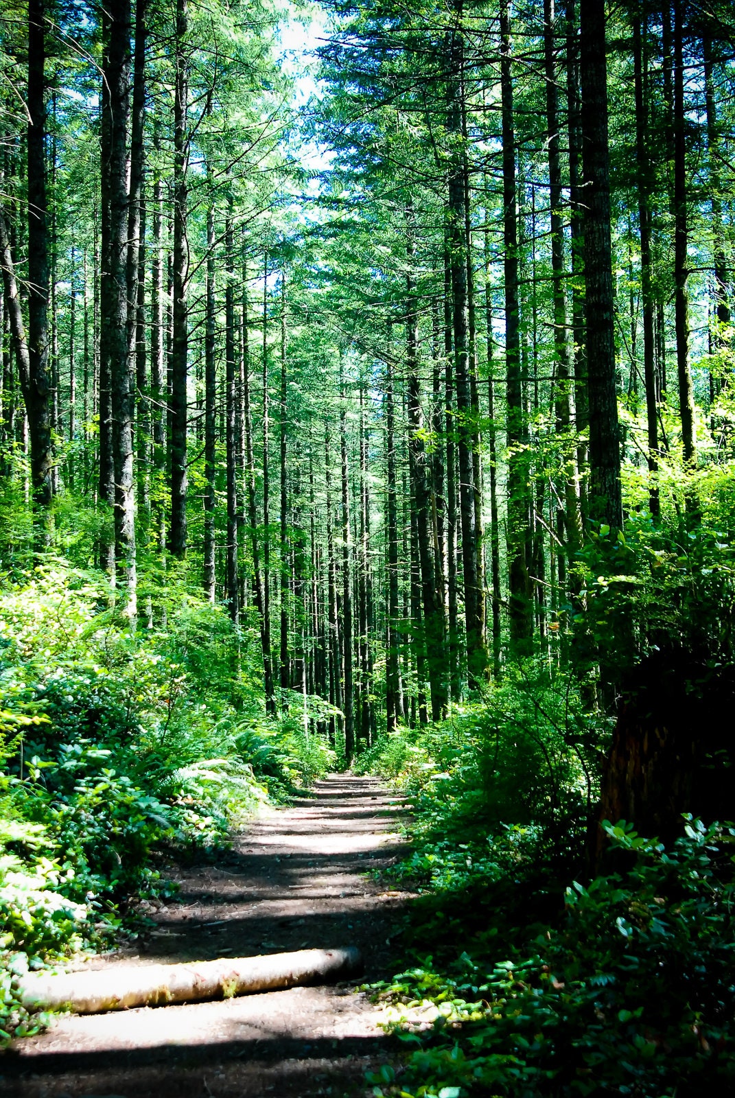 Home Decor Artwork-Digital Download- Summer Hike -Rattle Snake Lake - North Bend, WA