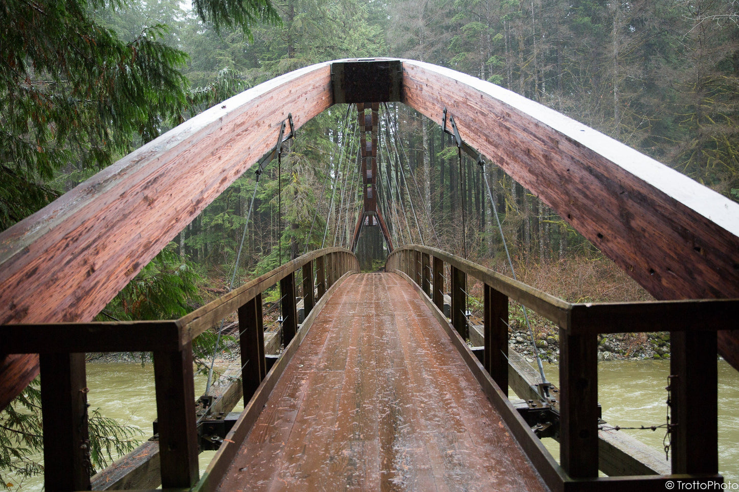 Blank Photo Note Cards - Pacific Northwest Fall Hike - 1