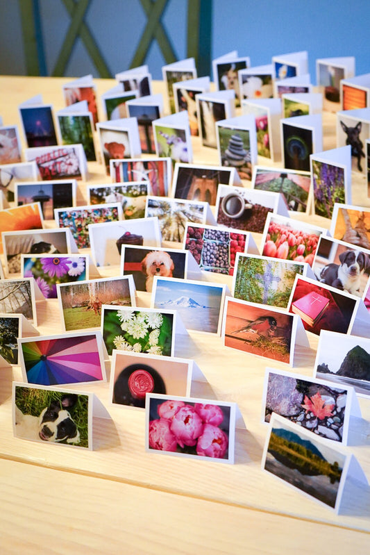 Blank Photo Note Cards - MINI - 2 x 3 size