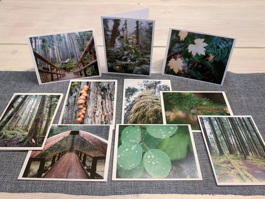 Blank Photo Note Cards - Pacific Northwest Fall Hike - 1